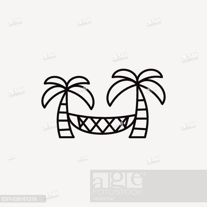 701x700 Coconut Tree Hammock Line Icon Stock Photos And Images Age Fotostock
