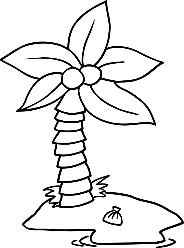 640x861 Coconut Tree