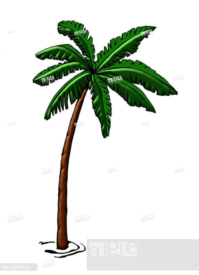700x964 Illustration, Palm, Graphics, Drawing, Watercolor, Tree, Coconut