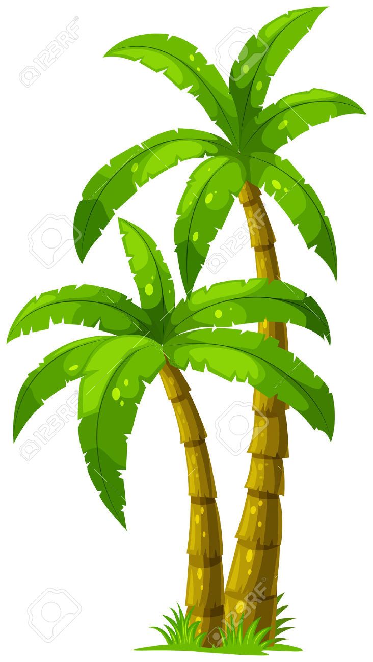 732x1300 Palm Tree Clip Art, Coconut Tree