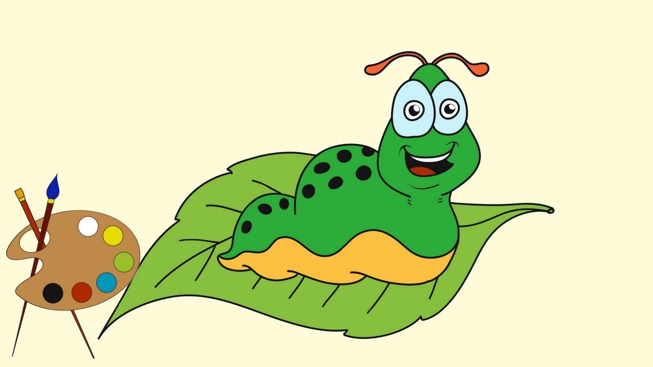 1280x720 How To Draw A Caterpillar On A Leaf Learn To Draw A Cocoon