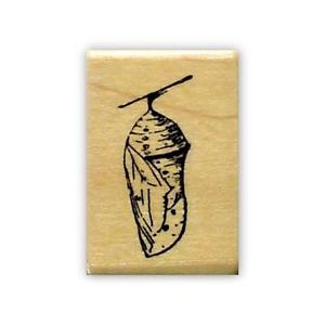 300x300 Chrysalis Mounted Rubber St Monarch Caterpillar Cocoon, Bug