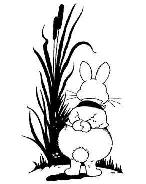 292x368 cape cod museum of natural history