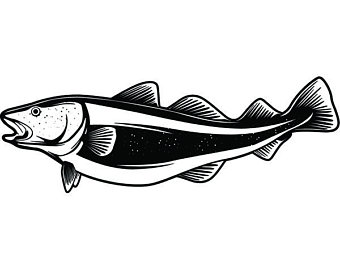 340x270 cod fish drawing etsy