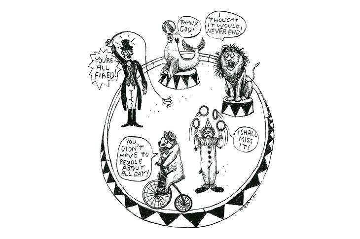 730x486 drawing of circus melody drawing circus brighton fringe