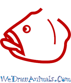 300x350 how to draw a black cod