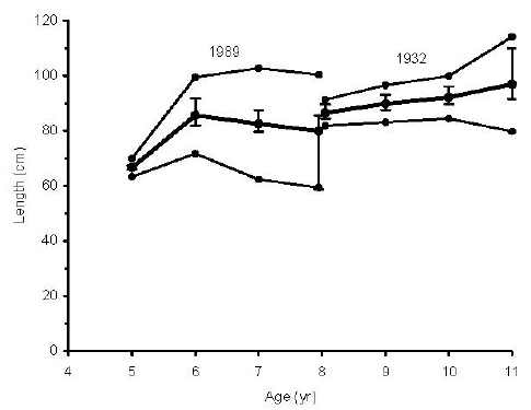 485x375 maturation reaction norms for northeast arctic cod cohorts