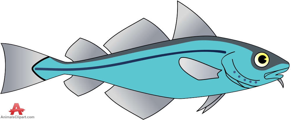 999x413 cod fish clipart