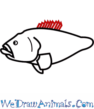 300x350 how to draw a black cod
