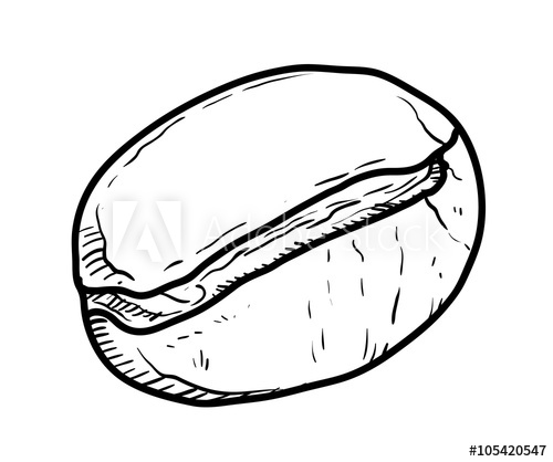 500x418 coffee bean doodle, a hand drawn vector doodle illustration
