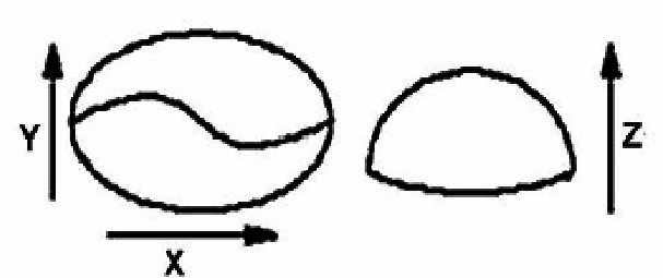 607x255 dimension of the coffee bean download scientific diagram