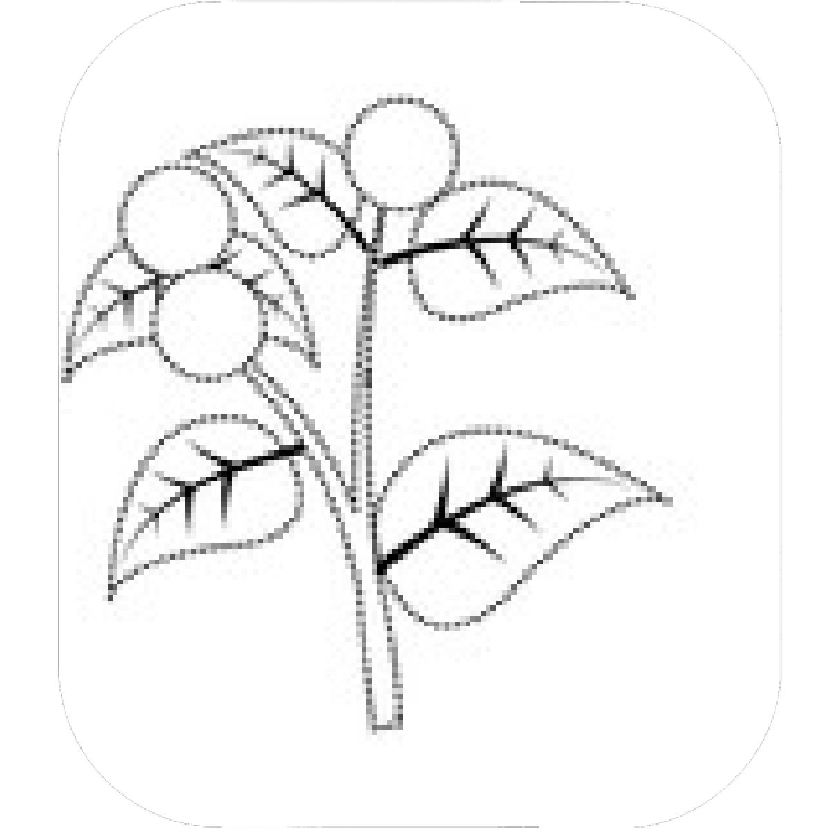 1200x1200 Designs Mein Mousepad Design Mousepad Selbst Designen