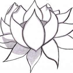 250x250 Easy Things To Draw Coffee Best And Cool But Cute