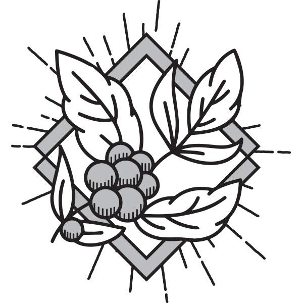 600x600 marea coffee better tasting coffee delivered to your door