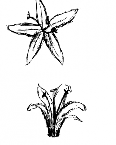 400x500 Wholesale Coffee, Supplies, Smallware Cool Beans Coffee Supply