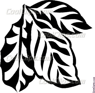305x300 Coffee Plant Vector Clip Art