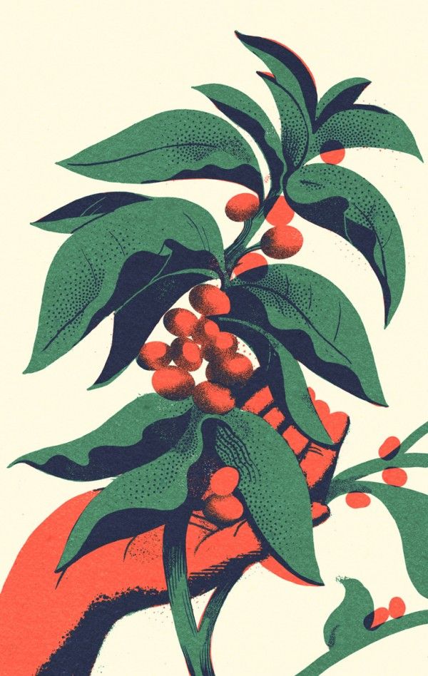 600x948 omnivore plante dots, lines, and draws