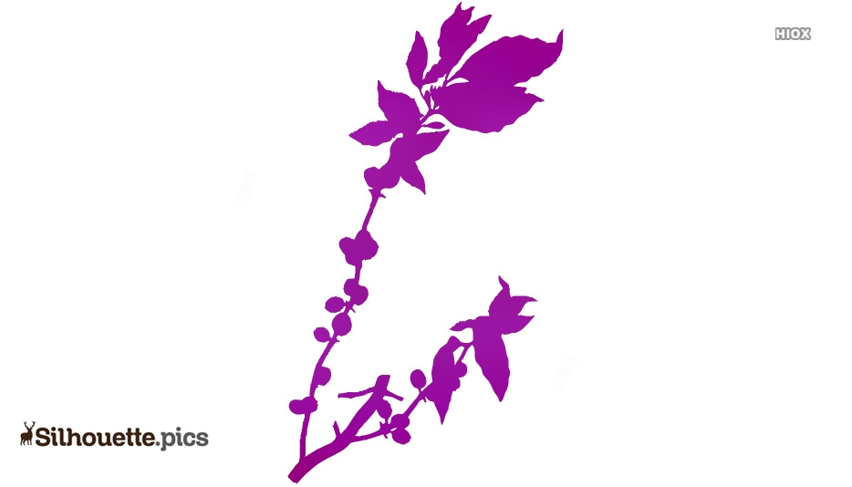934x534 Coffee Plant Silhouette Images