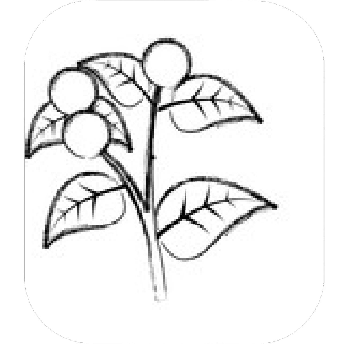 1200x1200 Designs Mein Mousepad Design Mousepad Selbst Designen