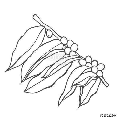 500x500 Vector Line Icon Of Coffee Tree Stock Image And Royalty Free