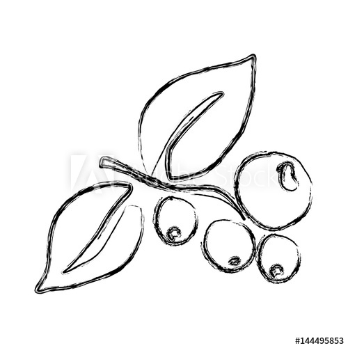 500x500 Monochrome Sketch Hand Drawn With Coffee Tree Branch With Grains