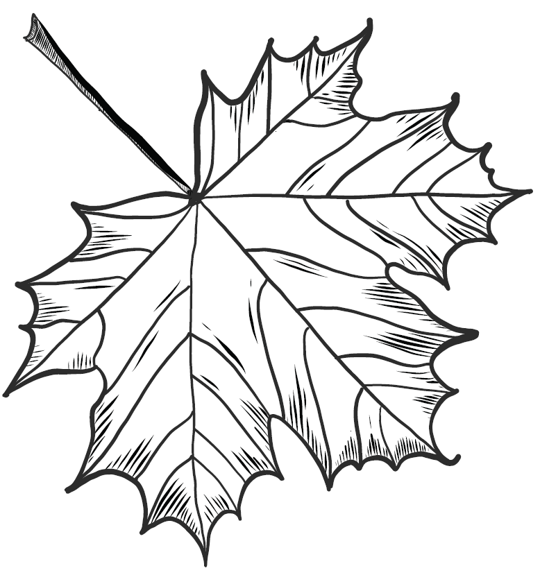 778x829 Autumn Coffee