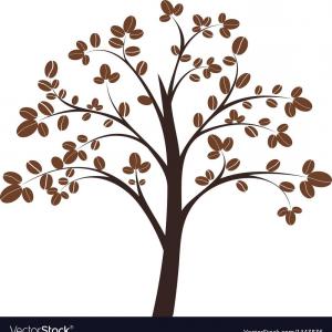 300x300 best hd coffee tree vector drawing shopatcloth