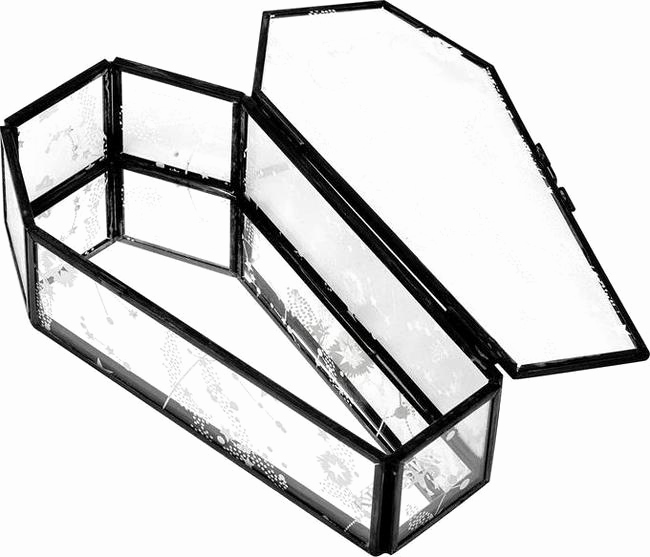 650x557 Fresh Coffin Sketch