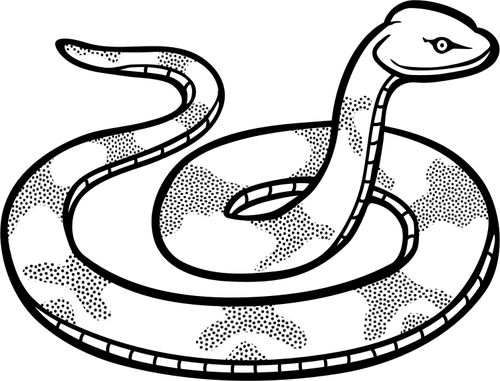 500x381 Collection Of Free Rattlesnake Drawing Step By Download On Ui Ex