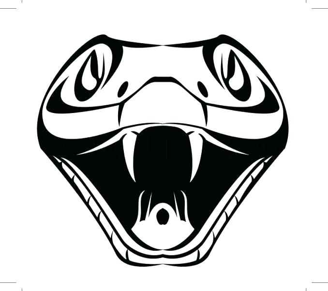 678x600 easy snake drawings draw king cobra snake easy snake drawing