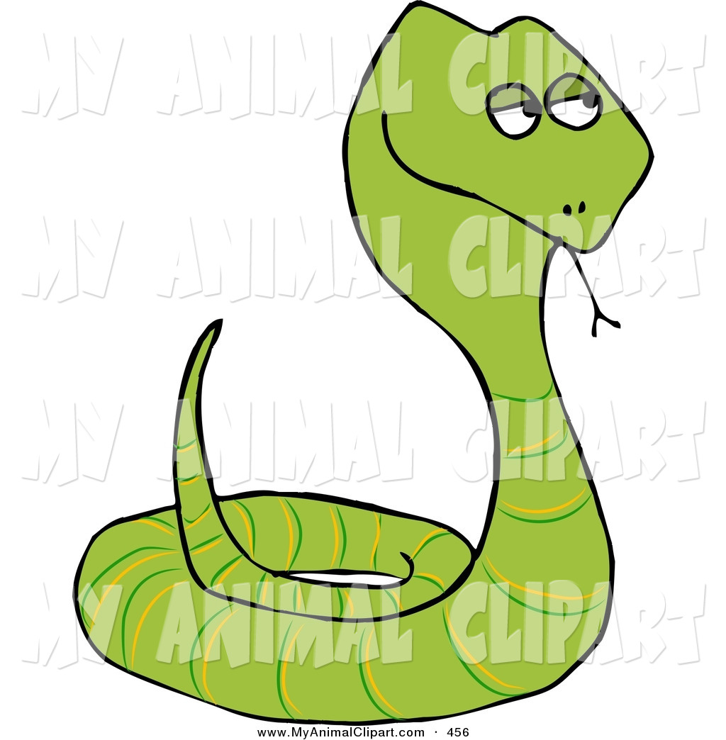 1024x1044 Rattlesnake Drawing