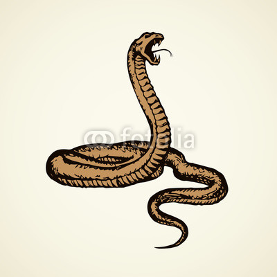 400x400 Snake Vector Drawing Buy Photos Ap Images Detailview