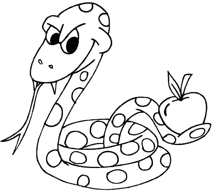 728x656 snakes to color coiled snake drawing at free for personal use