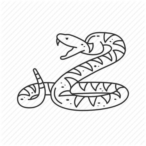 512x512 Coil Drawing Snake Transparent Png Clipart Free Download