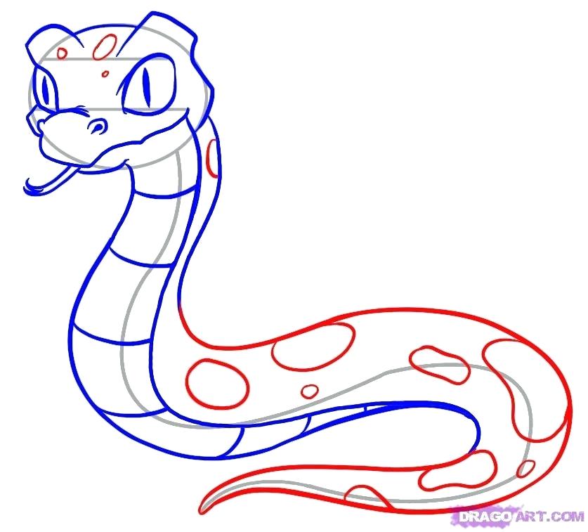 837x757 Drawing Of Snakes Image Titled Draw A Coiled Snake Step Snkrs