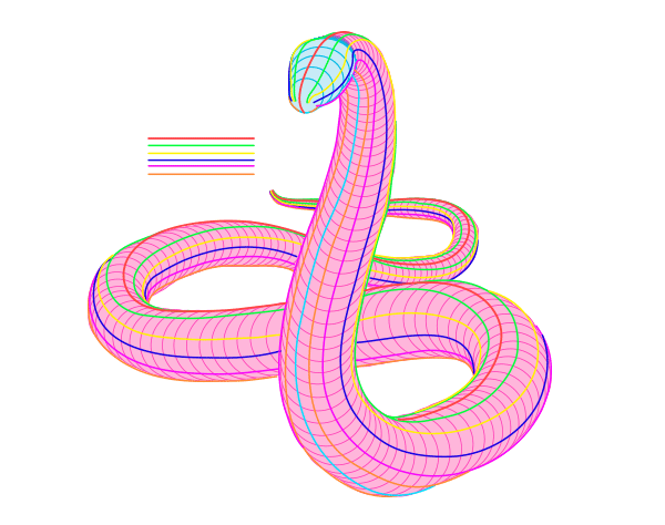 600x474 How To Draw Animals Snakes And Their Patterns