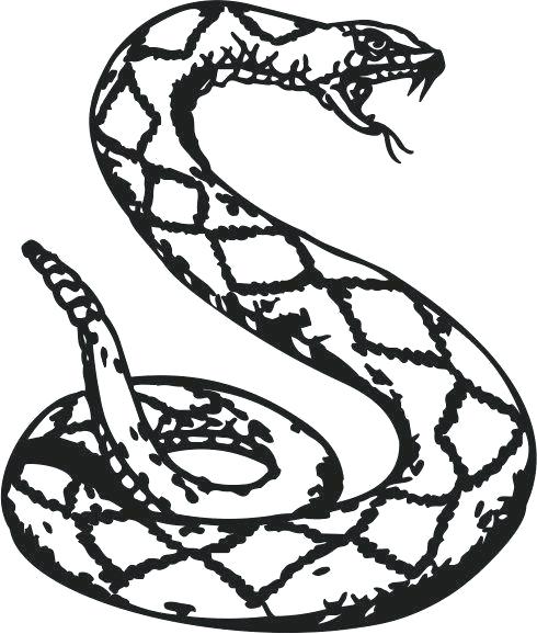 490x578 Rattlesnake Rattle Drawing Viper Snake Coloring