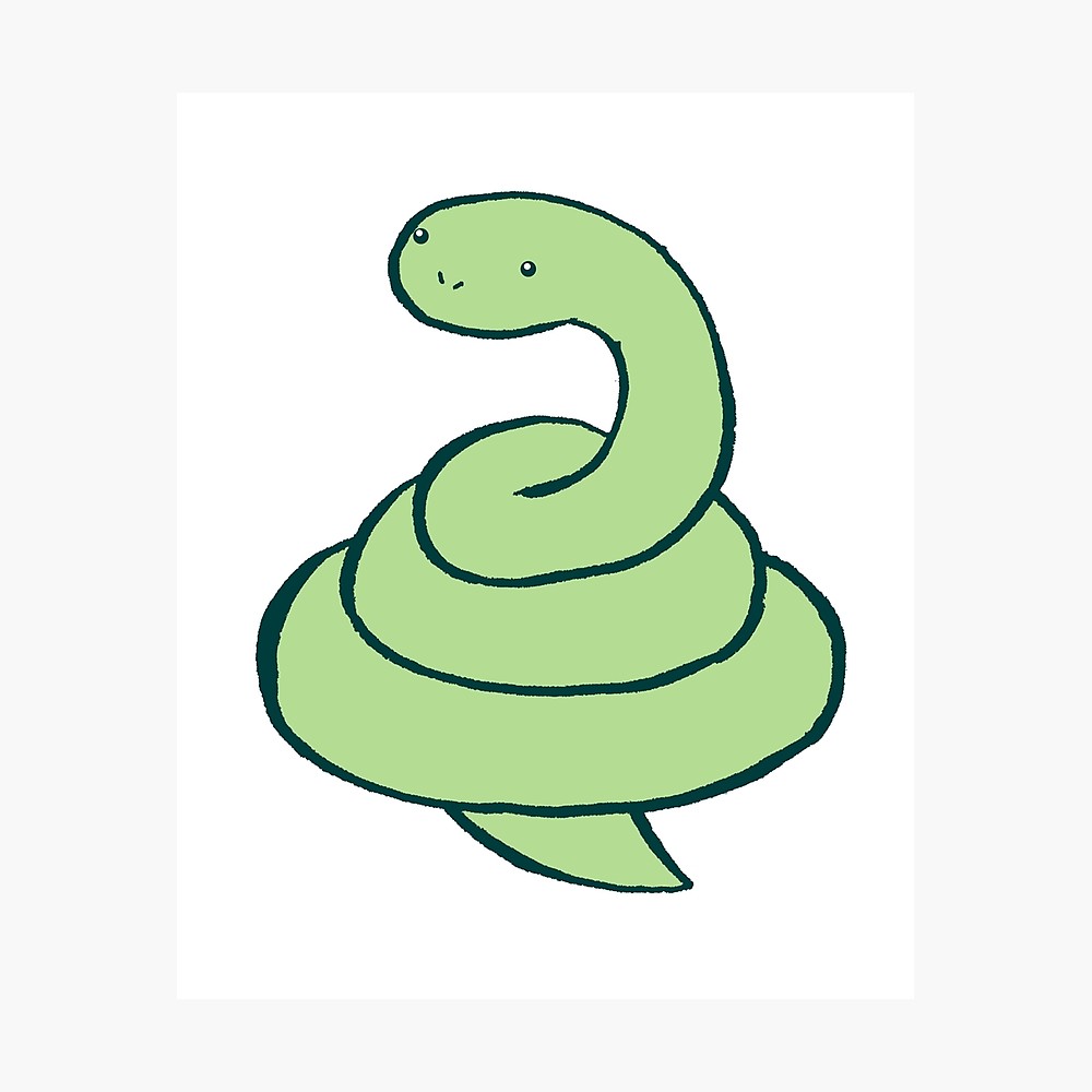 1000x1000 Coiled Snake Photographic Print