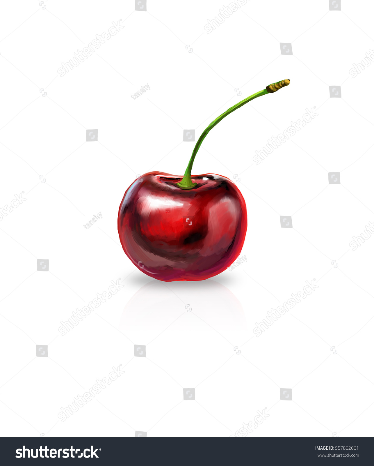 1286x1600 Cherry Blossom Drawing Tumblr Coke Carto Images