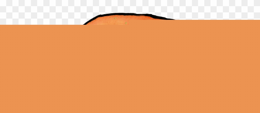 840x365 Collection Of Burger Drawing Png