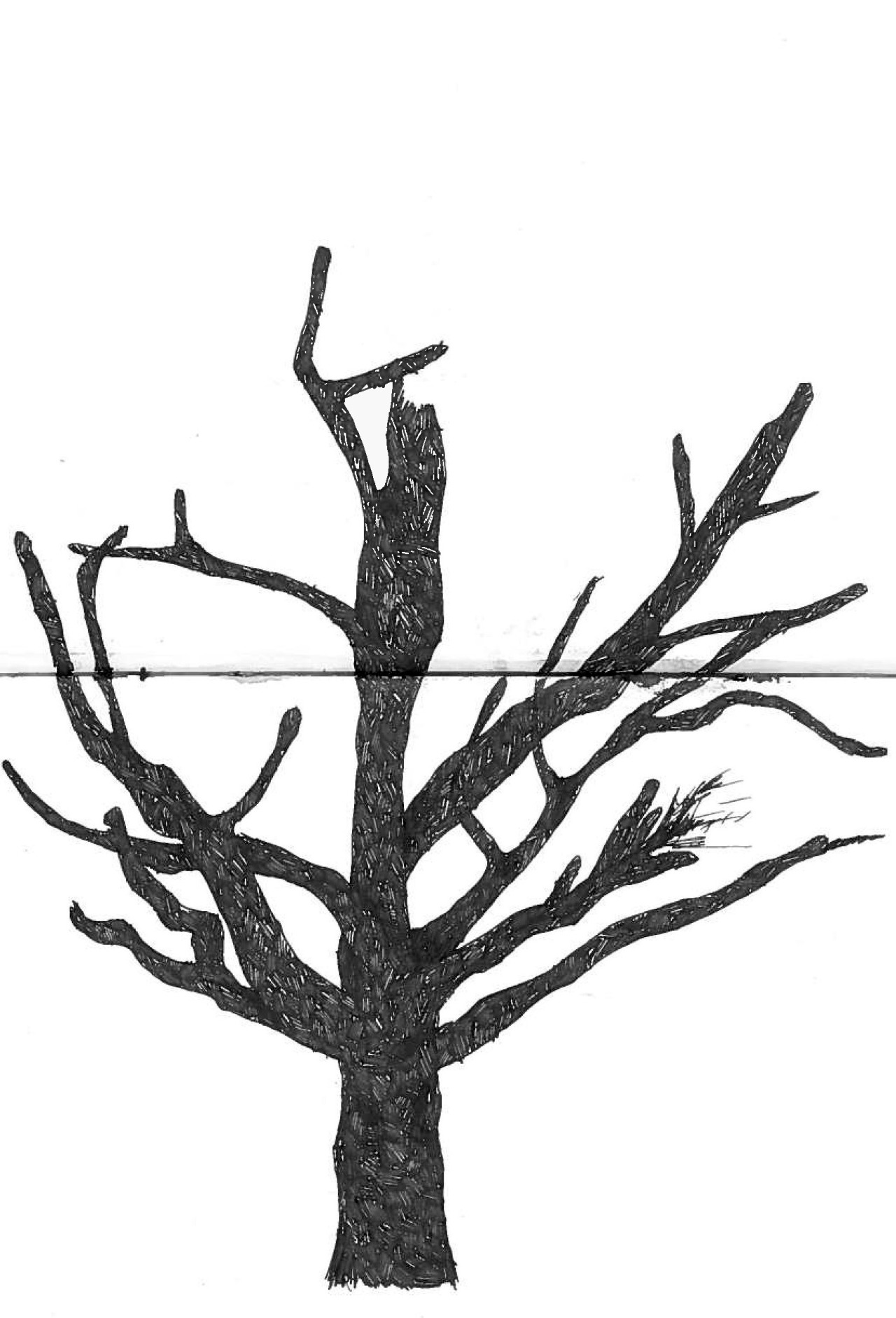 1280x1882 It Me !, I Started Drawing This Tree In My Frees