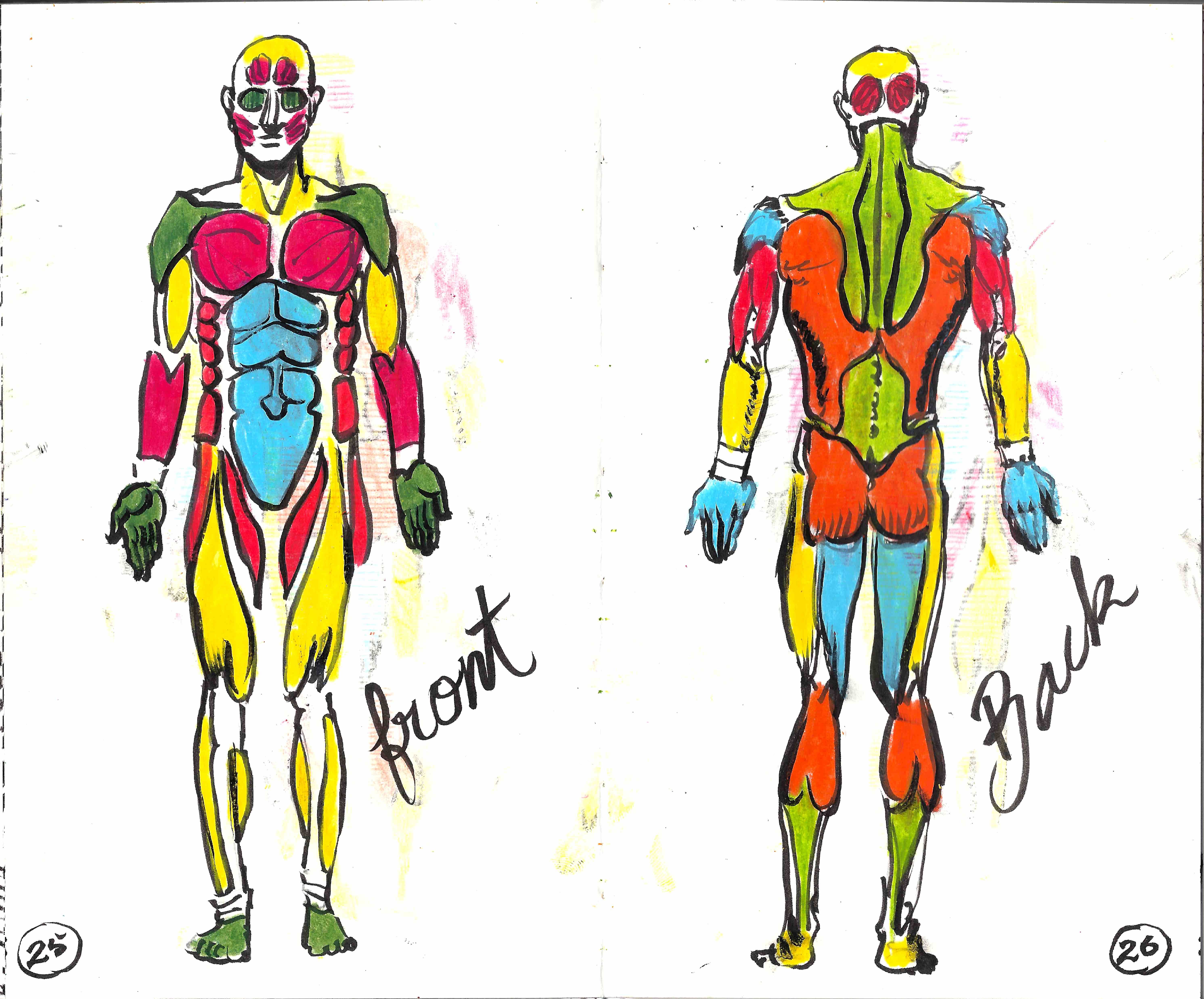 5966x4952 Always Exciting, The Study Of The Body Preparatory Drawings