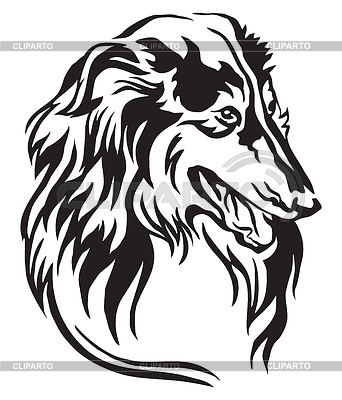 342x400 collie stock photos and vektor clipart cliparto
