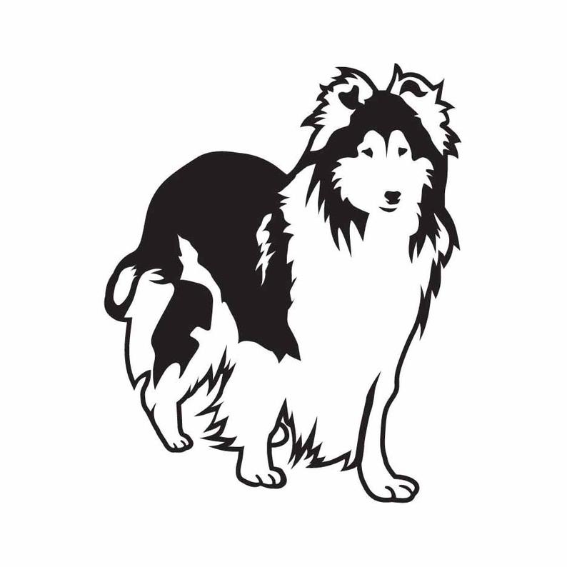 794x794 Collie Dog Puppy Vector Dxf Vinyl Cutter Etsy