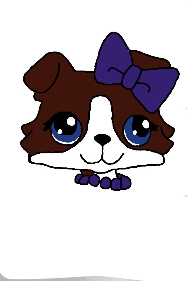 640x960 Collie Drawings My Lps Drawings