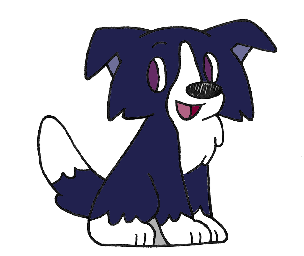 974x820 Day Border Collie