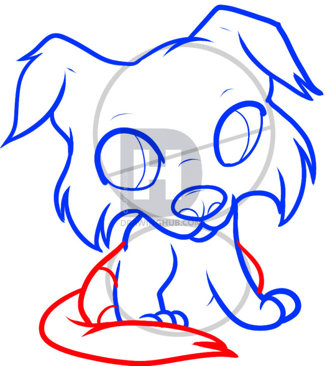 643x720 how to draw a collie puppy, collie puppy, step