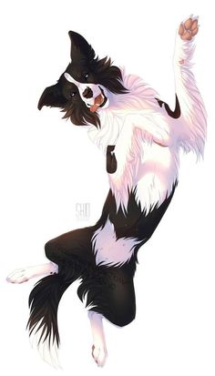 236x413 best border collie images border collie art, drawings, animal