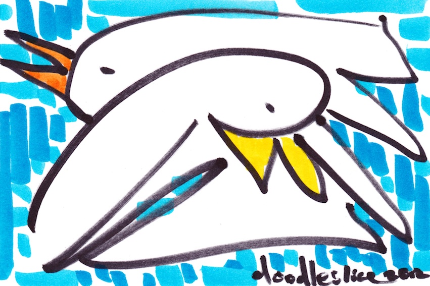 851x567 collision in blue