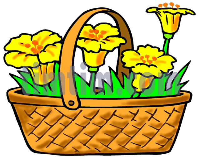 640x510 Flowers Color Clipart Flower Basket